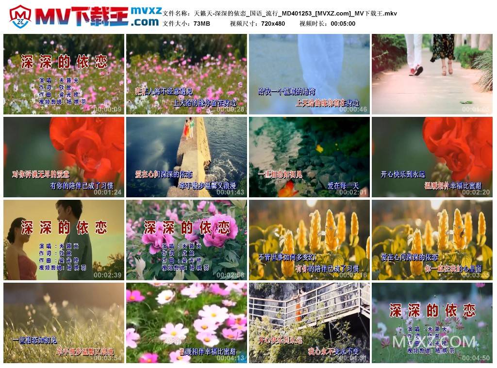 天籁天-深深的依恋_国语_流行_MD401253